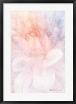 Framed Soft Dahlia Pastel Peach Lilac Print
