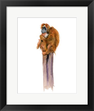 Framed Monkey Print