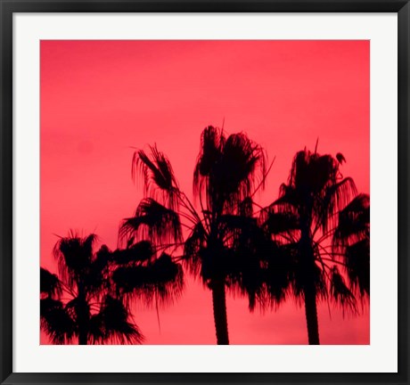 Framed Neon Palm Trees III Print