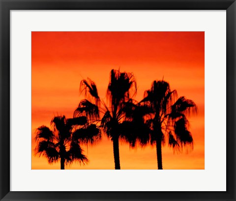 Framed Neon Palm Trees IV Print