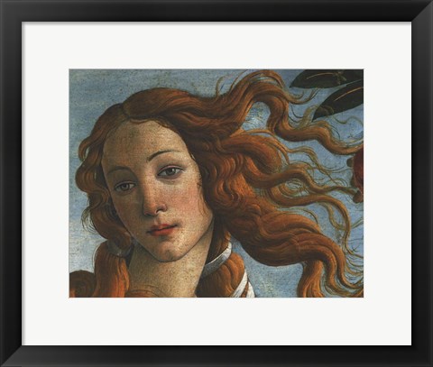 Framed Birth of Venus (Head of Venus), 1486 Print