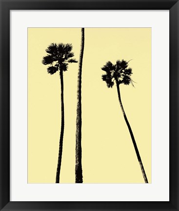 Framed Palm Trees 2000 (Yellow) Print