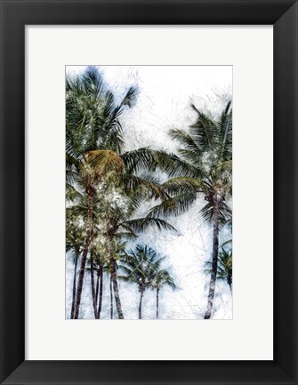 Framed Dorado Palms 2 Print