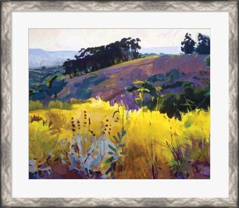 Framed Late Sun, Eucalyptus on the Ridge Print