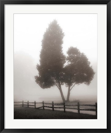 Framed Cedar Tree and Fence Print