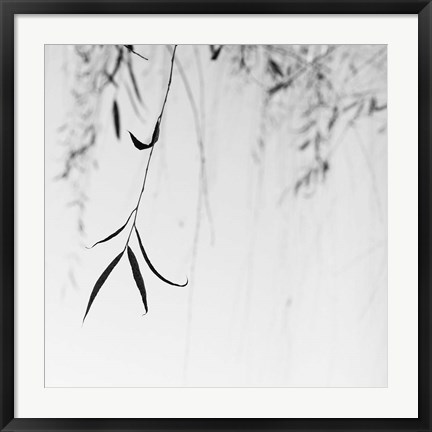 Framed Willow Print No. 1 Print