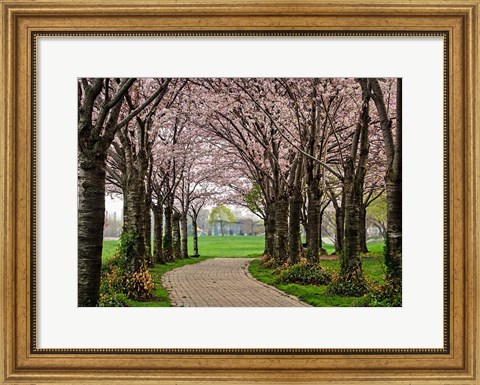Framed Cherry Blossom Path Print