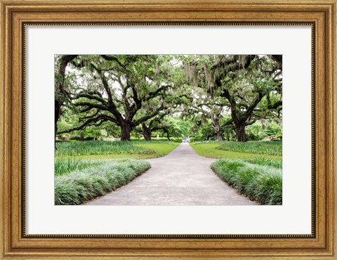 Framed Garden Entrance Print