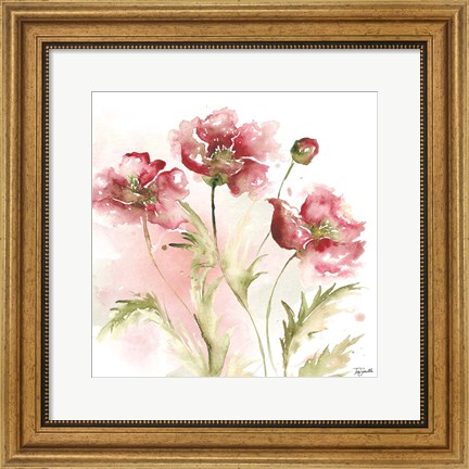 Framed Blush Watercolor Poppy III Print