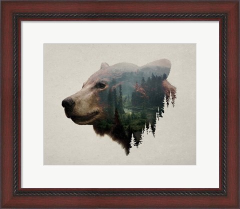 Framed Pacific Northwest Black Bear Print