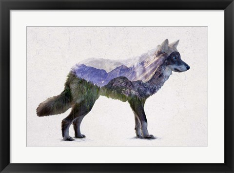 Framed Rocky Mountain Grey Wolf Print