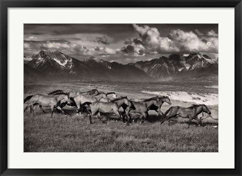 Framed Mountain Range Mavericks Print
