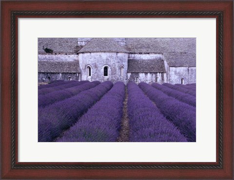 Framed Lavender Abbey Print