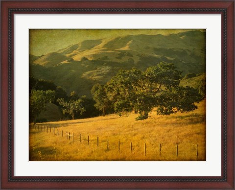 Framed Oak and Fence Print