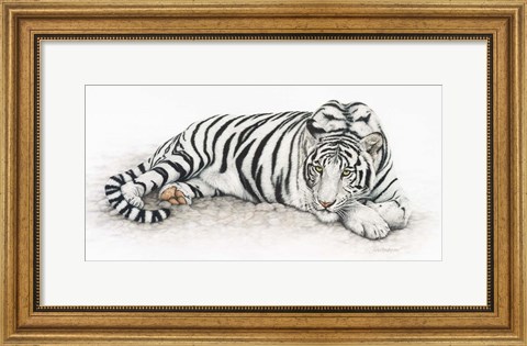 Framed Siberian Tiger Print