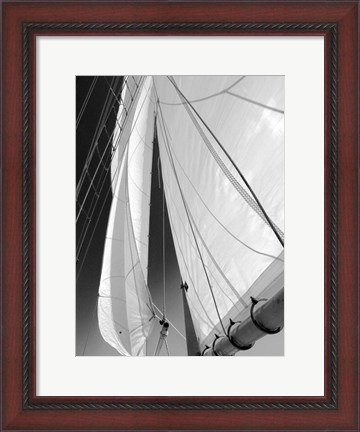 Framed Sailboat Sails Florida Print
