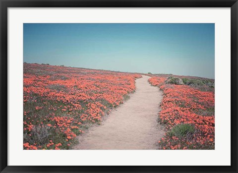 Framed California Blooms IV Print