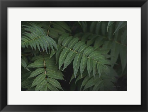 Framed Leafy V Print