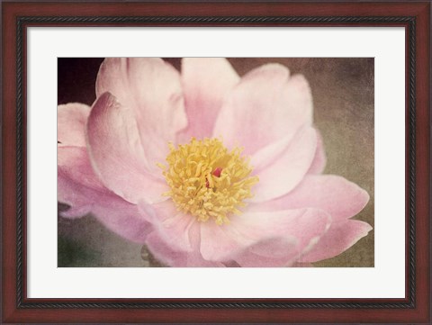 Framed Peony in the Park Print