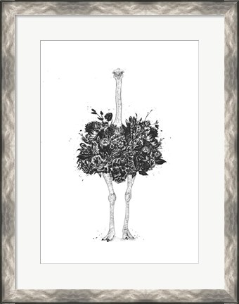 Framed Floral Ostrich Print