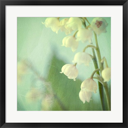 Framed Lily of the Valley Print