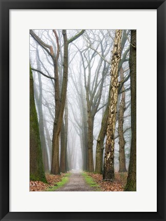 Framed At the End You Will Find a New Beginning Print