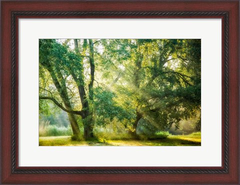 Framed Receiving and Giving Print