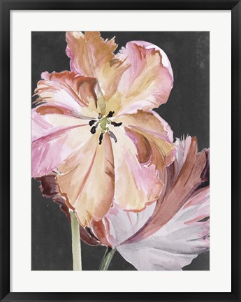 Framed Pastel Parrot Tulips II Print