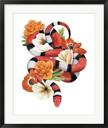 Framed King Snake I Print