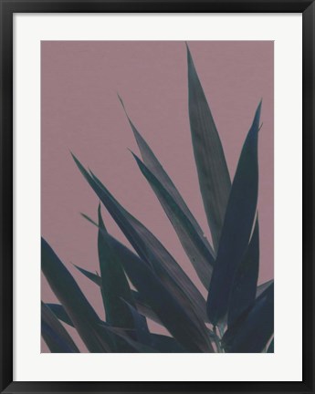 Framed Bamboo Pink II Print