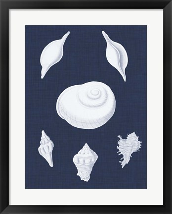 Framed Coquillages Blancs IV Print