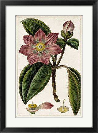 Framed Mauve Botanicals VI Print