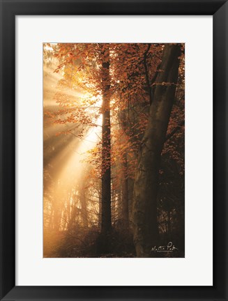 Framed Best of Autumn Print