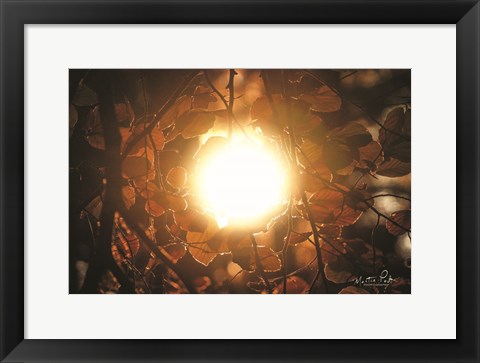 Framed Into the Sun Print