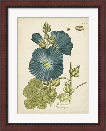 Framed Eloquent Botanical IV Print