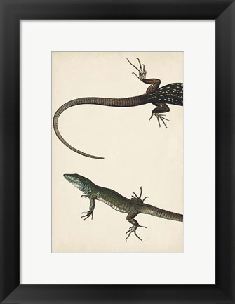 Framed Lizard Diptych I Print