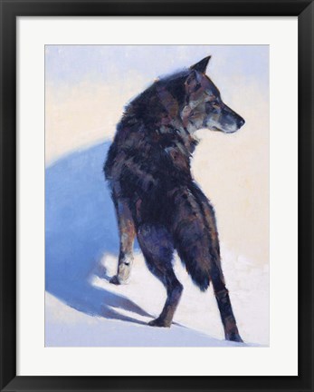 Framed Wolf Study I Print