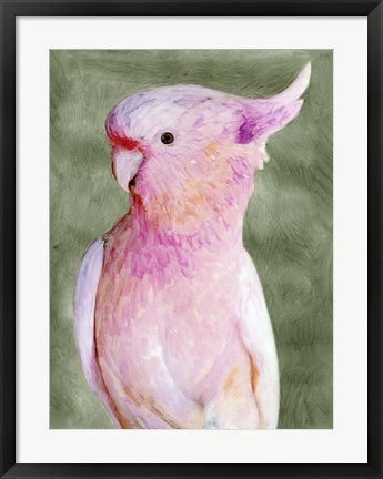 Framed Palm Springs Parrot II Print