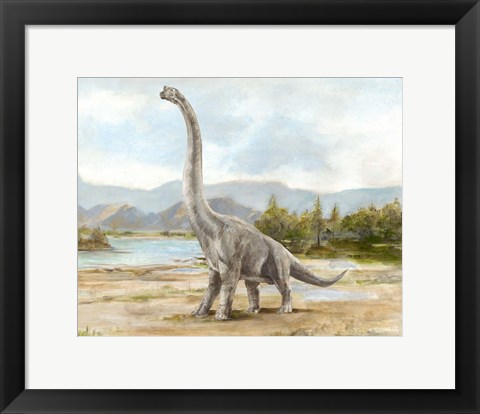 Framed Dinosaur Illustration IV Print