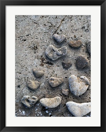 Framed Gifts of the Shore VI Print