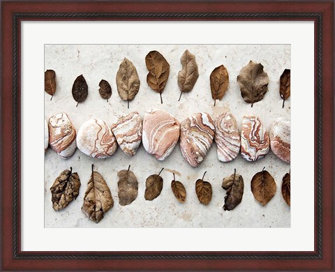 Framed Gifts of the Earth III Print
