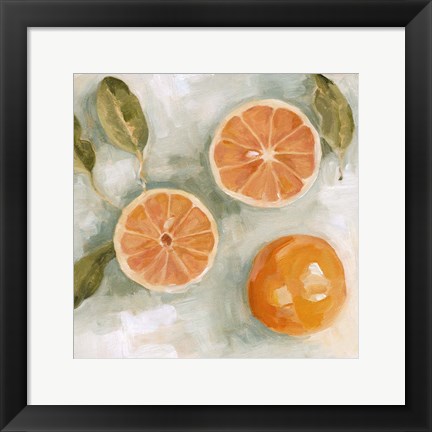 Framed Fresh Citrus II Print