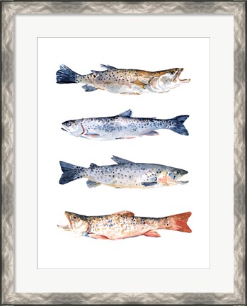 Framed Stacked Trout I Print