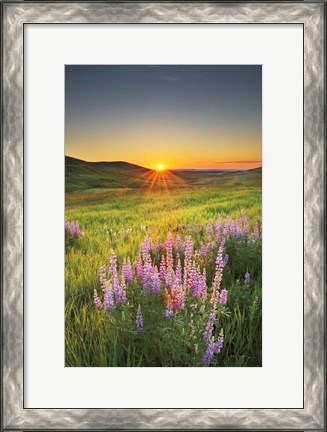 Framed Prairie Sunrise Print