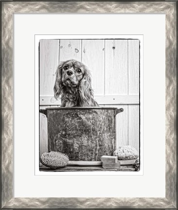 Framed Vintage Puppy Bath Print