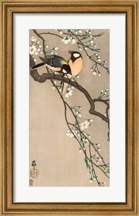 Framed Songbirds on Cherry Branch, 1900-1910 Print