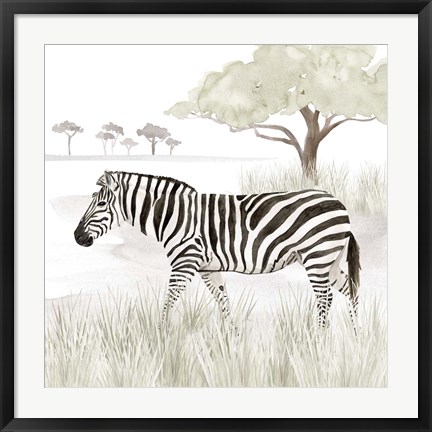Framed Serengeti Zebra Square Print