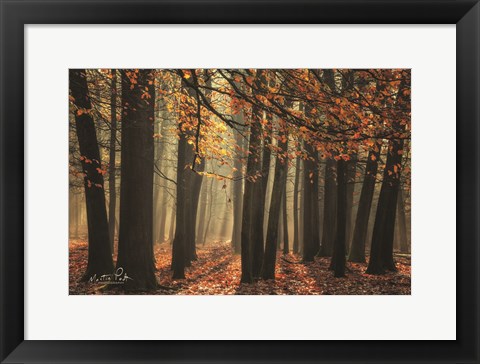 Framed Bunch of Trees Print