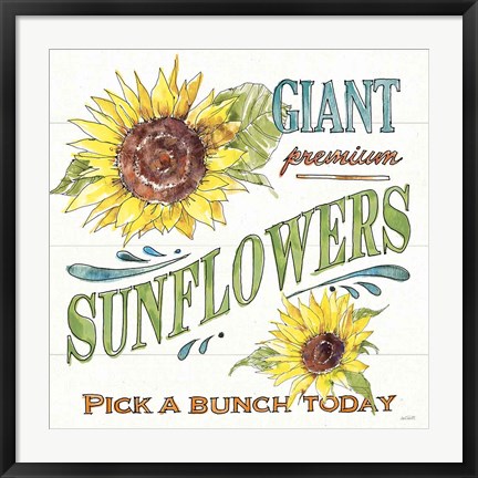 Framed Sunflower Fields IV Print
