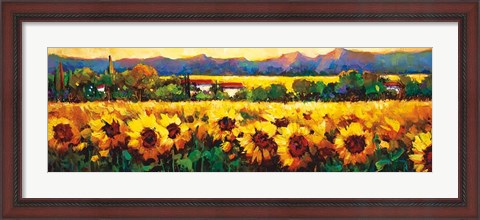 Framed Sweeping Fields of Sunflowers Print